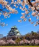 Image result for Osaka Castle Garden