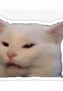 Image result for Grammar Cat Meme