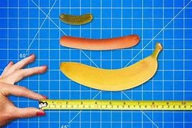 Image result for 8 Inches Long P