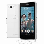 Image result for Sony Xperia Z1s