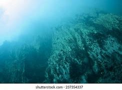 Image result for Underwater Cliff Background
