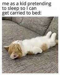 Image result for Sad Cat in Bed Meme