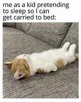 Image result for Cat Nap Meme