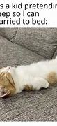Image result for Funny Cat Nap Meme