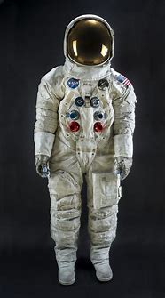 Image result for NASA Space Suit Costume