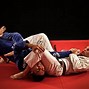 Image result for What Is Jiu Jitsu Martial Arts