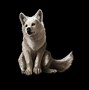 Image result for Pretty Anime Wolf
