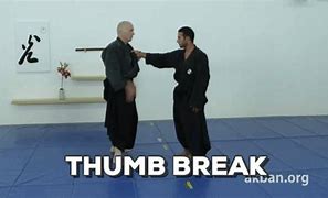 Image result for Most Effective Martial Arts