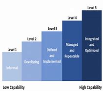 Image result for Data Management Maturity Model