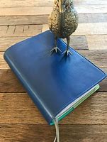 Image result for Leather Bible Covers Blue for Men
