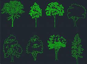 Image result for CAD Blocks Trees Plan