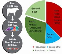 Image result for Vegan vs Meat Claim Graphs
