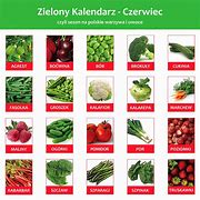 Image result for czerwiec