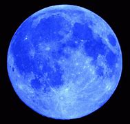 Image result for Moon Bats GIF