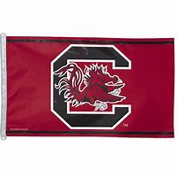 Image result for University of South Carolina Flag