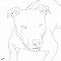 Image result for Pitbull Head Outline Drawing