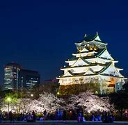 Image result for Osaka Japan Night Light