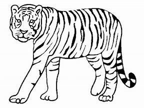 Image result for Templates for Tigers