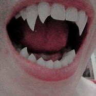 Image result for Sharp Teeth Aesthetic