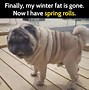 Image result for WNY Spring Weather Meme