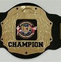 Image result for Ultimate Warrior Belt