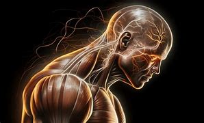 Image result for Mind Muscle Connection
