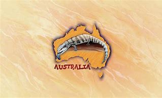 Image result for Blue Tongue Lizard Aboriginal Art