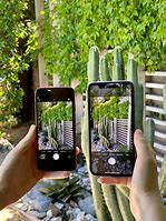 Image result for iPhone SE 2nd Generation Camera