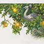 Image result for Golden Apple Tree Art