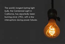 Image result for Facts About Light Bulbs