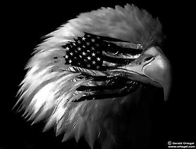 Image result for American Flag with Eagle