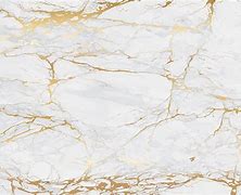 Image result for White Golden Marble