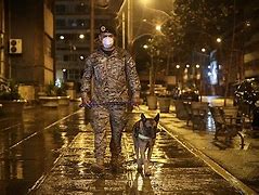 Image result for Canine Police Dogs