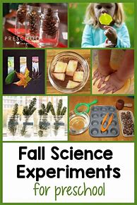 Image result for Fall Science Activities for Preschoolers