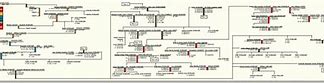 Image result for Rowland Hill Family Tree