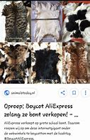 Image result for Boycot Real Leather