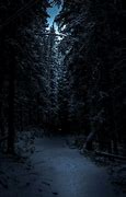Image result for Dark Forest Phone Wallpaper