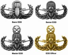 Image result for U.S. Army EOD Vehicles