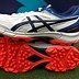 Image result for Kids Spikes for Cricket
