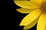 Image result for Best Wallpapers for iPhone 7