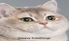 Image result for Heavy Breathing Cat Animation GIF