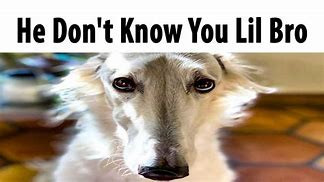 Image result for He Don Know You Meme