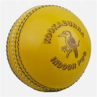 Image result for Cricket