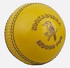 Image result for Cricket