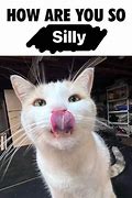 Image result for Memes About Being Silly