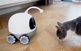 Image result for robot cats companions