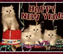 Image result for New Year Cats Quotes