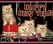 Image result for Happy New Year Animals