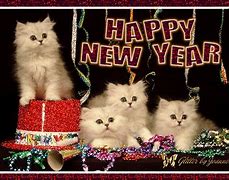 Image result for Cat Saying Happy New Year
