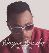 Image result for Wayne Wonder Logo